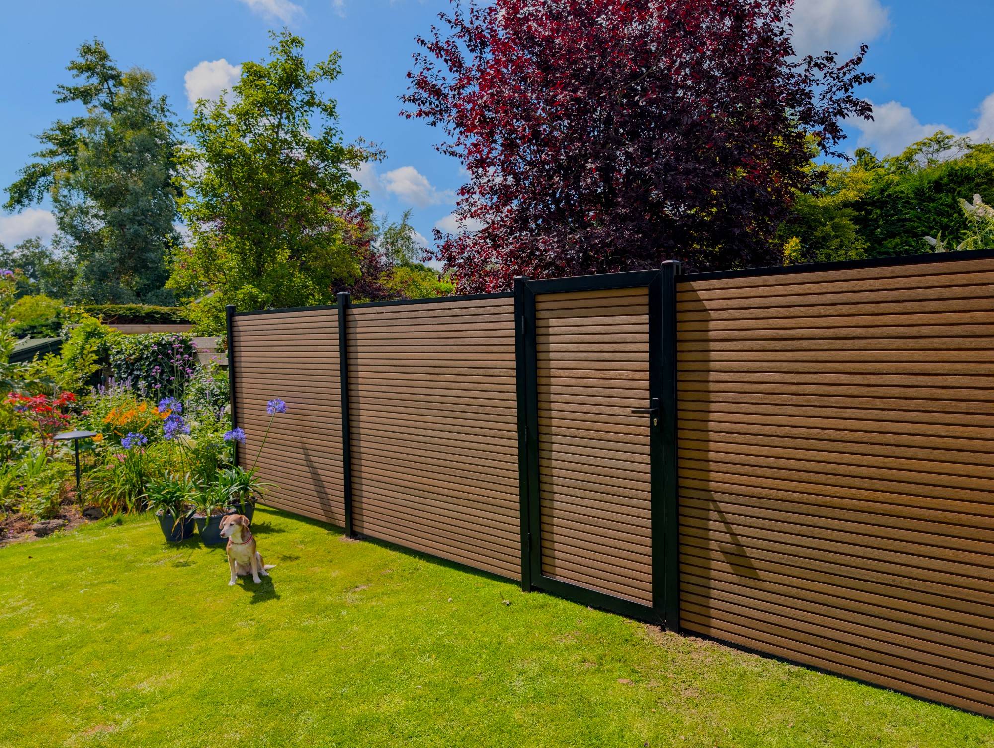 Composiet tuindeur rhombus teak